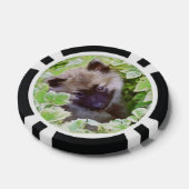 Keeshond Puppy in de Garden Painting Originele Kun Poker Chips (Enkel)