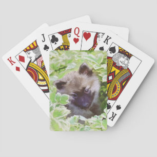 Keeshond Puppy in de Garden Painting Originele Kun Pokerkaarten
