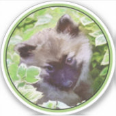 Keeshond Puppy in de Garden Painting Originele Kun Sticker (Voorkant)