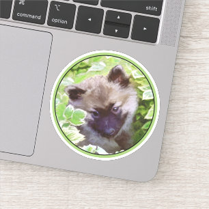 Keeshond Puppy in de Garden Painting Originele Kun Sticker
