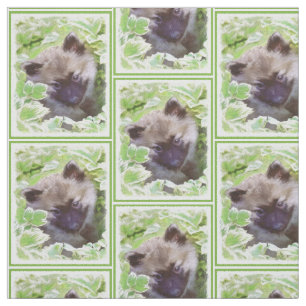 Keeshond Puppy in de Garden Painting Originele Kun Stof