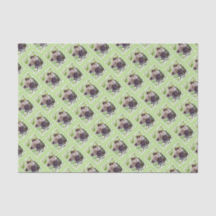 Keeshond Puppy in de Garden Painting Originele Kun Tissuepapier