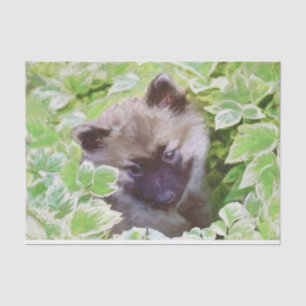 Keeshond Puppy in de Garden Painting Originele Kun Tissuepapier
