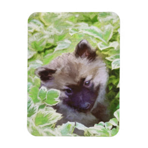 Keeshond Puppy in de Tuin Schilderij Originele Kun Magneet