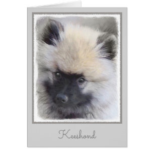 Keeshond Puppy Painting - Cute Original Dog Art