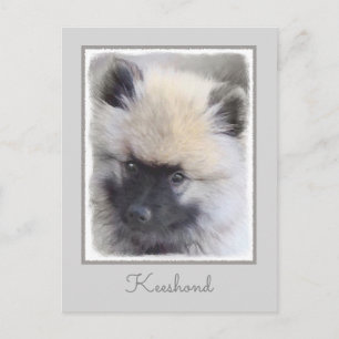 Keeshond Puppy Painting - Cute Original Dog Art Briefkaart