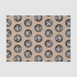 Keeshond Schilderen Speeltijd Schattigee Originele Tissuepapier