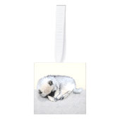 Keeshond Sleeping Puppy Painting Decoratie (Voorkant)