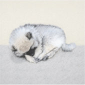 Keeshond Sleeping Puppy Painting Sticker (Voorkant)