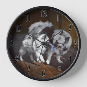 Keeshond Speeltijd Schilderij - Mooie Originele Ho