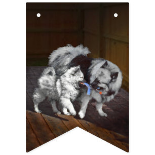 Keeshond Speeltijd Schilderij - Mooie Originele Ho Vlaggetjes