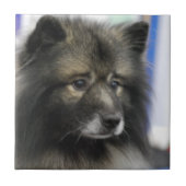 Keeshond Tile Tegeltje (Voorkant)
