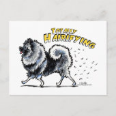 Keeshond Totally Hairifying Briefkaart (Voorkant)
