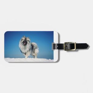 keeshond vol met sneeuw . bagagelabel