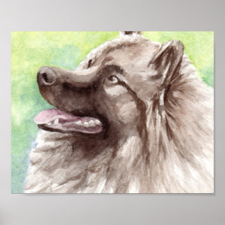 Keeshond Watercolor Portret Poster