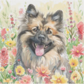 Keeshond Watercolor Sticker (Voorkant)