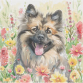 Keeshond-waterverf sticker (Voorkant)
