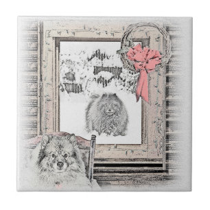 Keeshond Winter Window Paining Art Tegeltje
