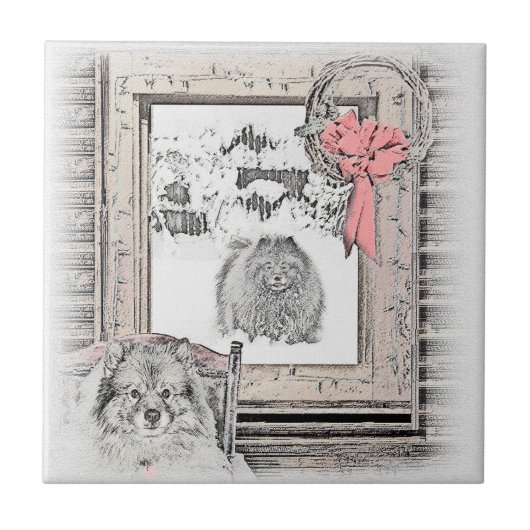 Keeshond Winter Window Paining Art Tegeltje (Voorkant)