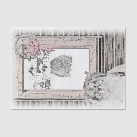Keeshond Winter Window Paining Art Tissuepapier (Voorkant)
