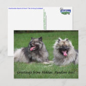 Keeshonds Apache & Havel Smiling Dutchmen Postcard Briefkaart (Voorkant / Achterkant)