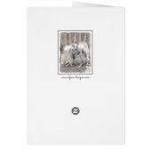 Keeshonds bij het schilderen van de poort - Oorspr (Achterkant)