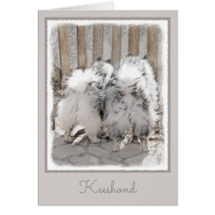 Keeshonds bij het schilderen van de poort - Oorspr