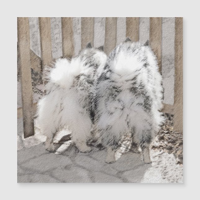 Keeshonds bij het schilderen van de poort - Oorspr (Voorkant)