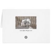 Keeshonds bij het schilderen van de poort - Oorspr (Achterkant Horizontaal)