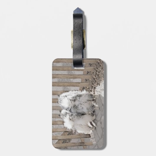 Keeshonds bij het schilderen van de poort - Oorspr Bagagelabel (Achterkant verticaal)