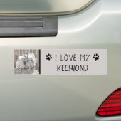 Keeshonds bij het schilderen van de poort - Oorspr Bumpersticker (Op auto)