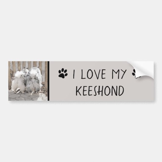 Keeshonds bij het schilderen van de poort - Oorspr Bumpersticker (Voorkant)