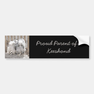 Keeshonds bij het schilderen van de poort - Oorspr Bumpersticker