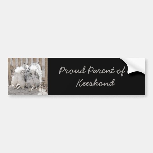 Keeshonds bij het schilderen van de poort - Oorspr Bumpersticker (Voorkant)