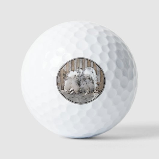 Keeshonds bij het schilderen van de poort - Oorspr Golfballen (Voorkant)