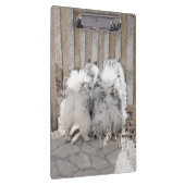 Keeshonds bij het schilderen van de poort - Oorspr Klembord (Rechts)