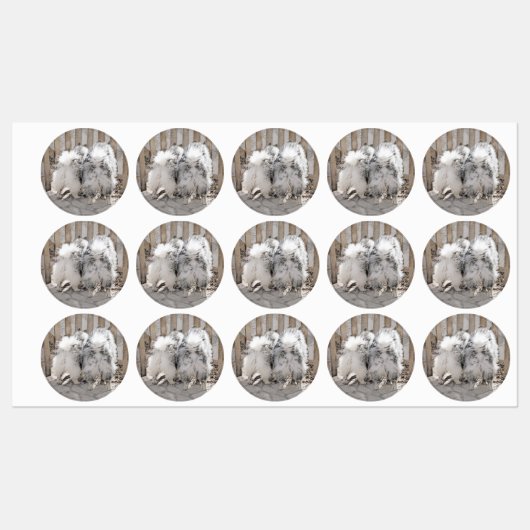 Keeshonds bij het schilderen van de poort - Oorspr Labels (Vel)