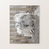 Keeshonds bij het schilderen van de poort - Oorspr Legpuzzel (Verticaal)