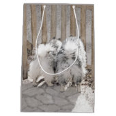 Keeshonds bij het schilderen van de poort - Oorspr Medium Cadeauzakje (Achterkant)