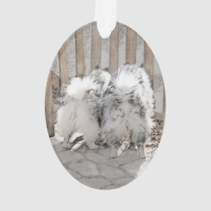 Keeshonds bij het schilderen van de poort - Oorspr Ornament