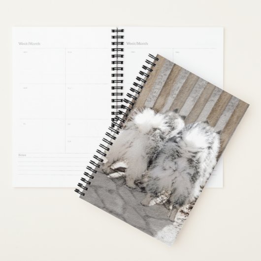 Keeshonds bij het schilderen van de poort - Oorspr Planner (Display)