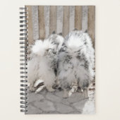 Keeshonds bij het schilderen van de poort - Oorspr Planner (Voorkant)