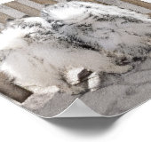 Keeshonds bij het schilderen van de poort - Oorspr Poster (Hoek)