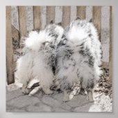 Keeshonds bij het schilderen van de poort - Oorspr Poster (Voorkant)