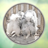 Keeshonds bij het schilderen van de poort - Oorspr Raamsticker (Vel 3)