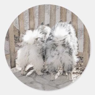 Keeshonds bij het schilderen van de poort - Oorspr Ronde Sticker