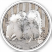 Keeshonds bij het schilderen van de poort - Oorspr Sticker (Voorkant)