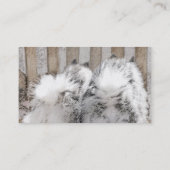 Keeshonds bij het schilderen van de poort - Oorspr Visitekaartje (Achterkant)