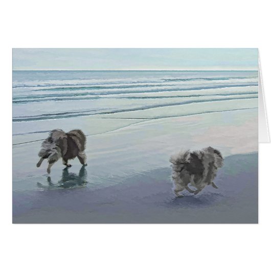 Keeshonds in de Seashore-schilderkunst (Voorkant Horizontaal)