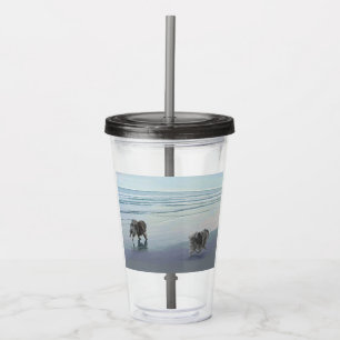Keeshonds in de Seashore-schilderkunst Acryl Drinkbeker